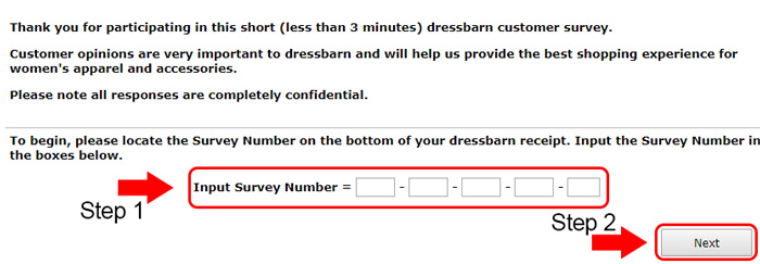 dressbarn survey receipt input